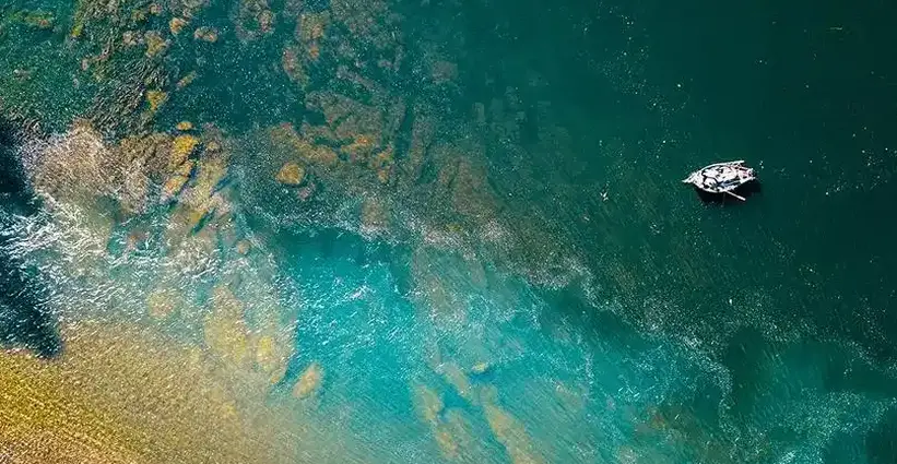 Adobe Premiere Rush torrent 3