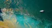 Adobe Premiere Rush torrent 3