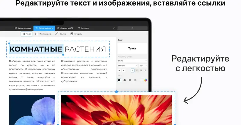 pdf-expert-for-macos-torrent 3